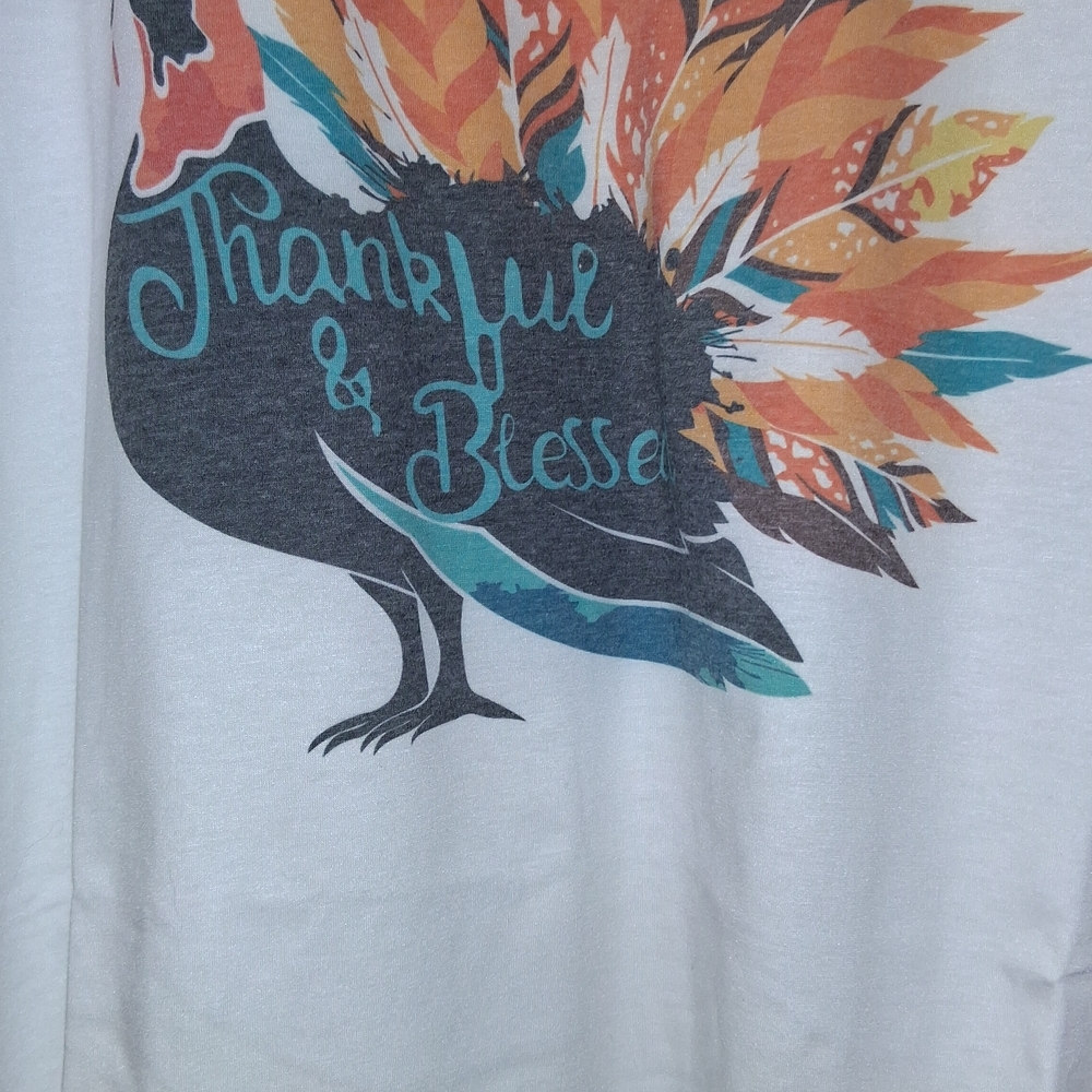 🌟Thankful & Blessed Graphic Sweatshirt 2X PTP 25"